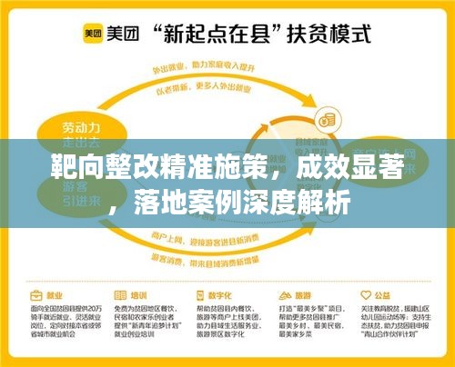靶向整改精准施策，成效显著，落地案例深度解析