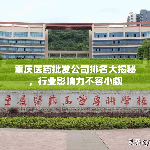 重庆医药批发公司排名大揭秘，行业影响力不容小觑