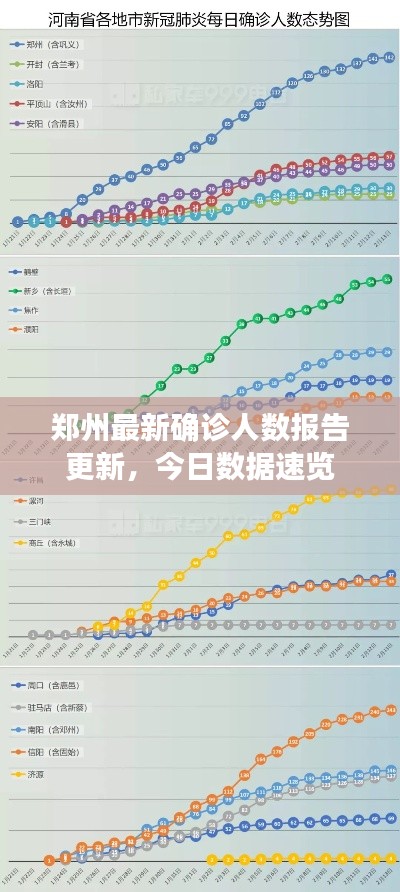 郑州最新确诊人数报告更新，今日数据速览