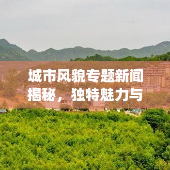 城市风貌专题新闻揭秘，独特魅力与多彩风情展现眼前