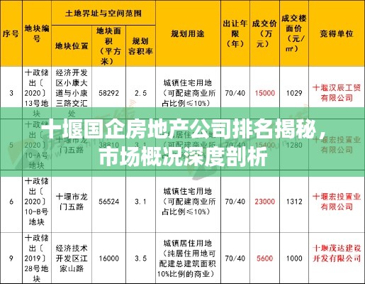 动态 第9页