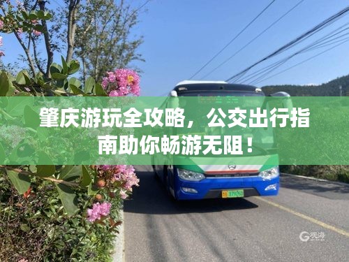 肇庆游玩全攻略，公交出行指南助你畅游无阻！
