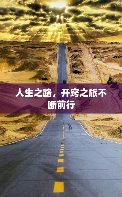 动态 第8页