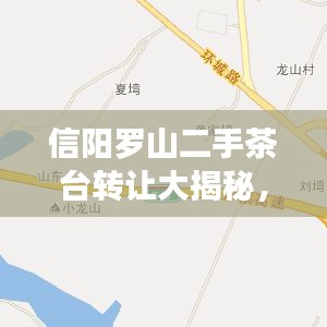 信阳罗山二手茶台转让大揭秘，最新信息一网打尽！