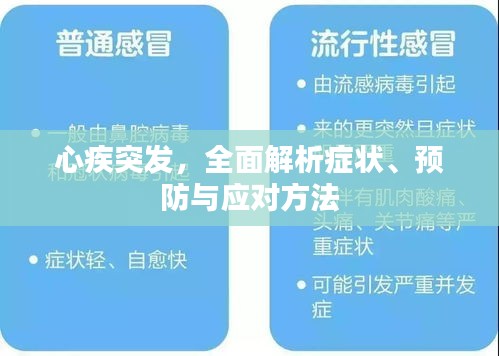 心疾突发，全面解析症状、预防与应对方法