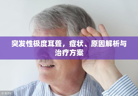 突发性极度耳聋，症状、原因解析与治疗方案