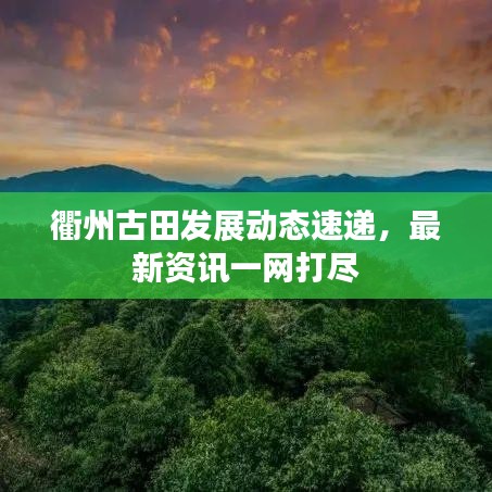 衢州古田发展动态速递，最新资讯一网打尽