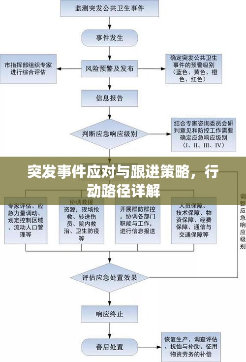 突发事件应对与跟进策略，行动路径详解