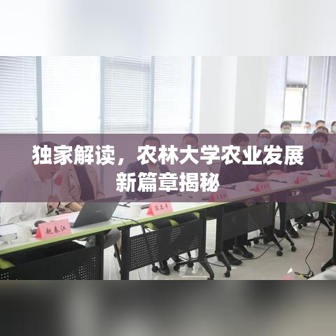 龙马精神